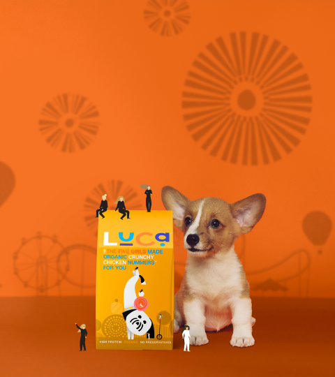 Nummers™  Crunchy Chicken